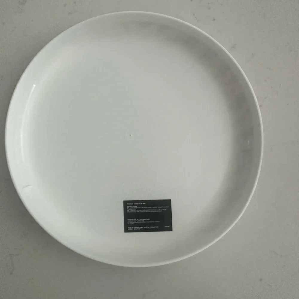 Saint Laurent Zebra Frisbee in Black and White - Picture 3 of 4